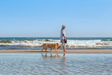 Urlaub mit Hund